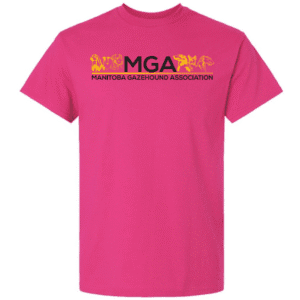 G200 Gildan Ultra Cotton T-Shirt - Heliconia